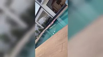 Namiq Qaraçuxurlu bağını göstərdi
