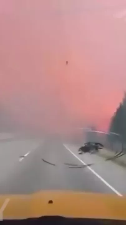 Канадский водитель проехал через пылающий лес