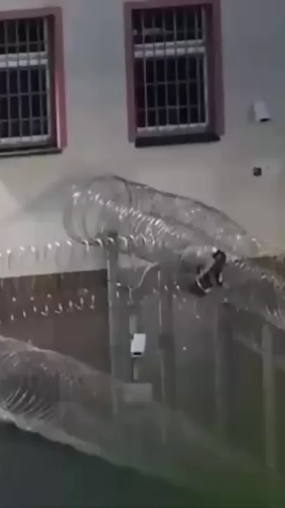 В Германии заключенный попытался сбежать из тюрьмы