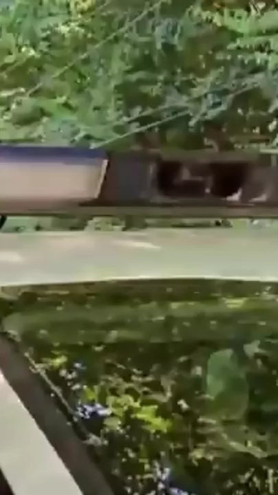 В Баку арестованы автохулиганы