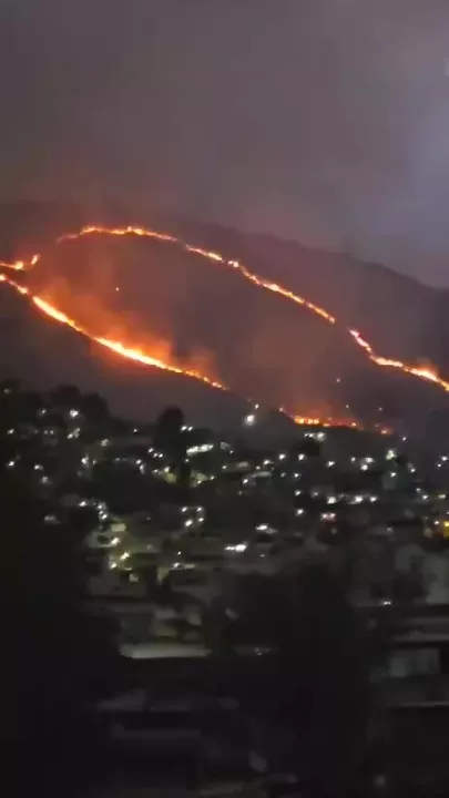В Бразилии вспыхнул лесной пожар