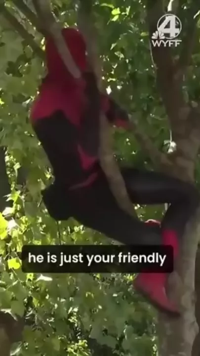 Юный Человек-паук из США стал звездой соцсетей