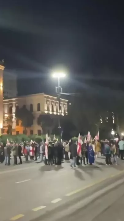 В Грузии митингующие перекрыли улицу в центре Тбилиси