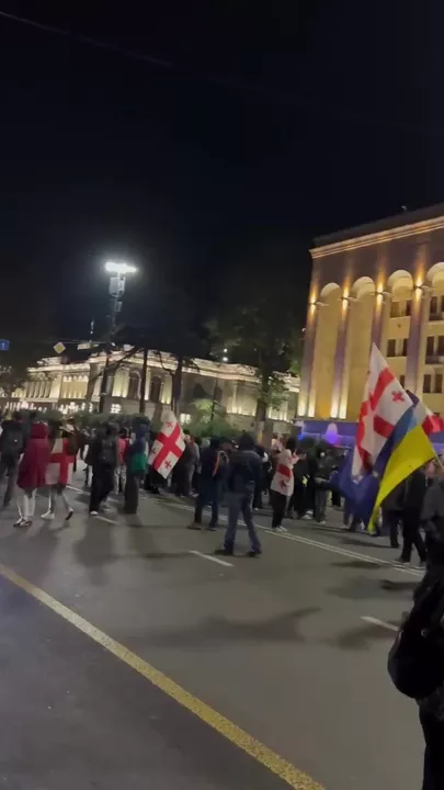 В Грузии митингующие перекрыли улицу в центре Тбилиси-2