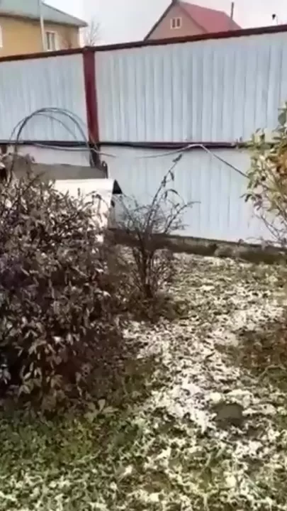 В Красноярском крае выпал черный снег