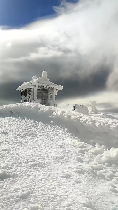 Карпаты в снегу