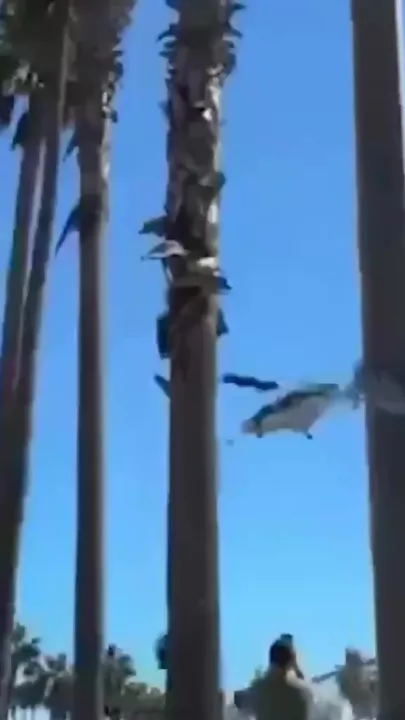 В Калифорнии возле пляжа рухнул вертолет