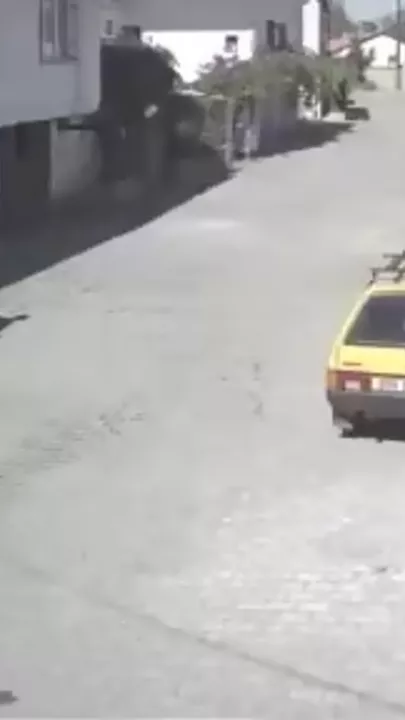 Разъяренный бык протаранил припаркованное авто