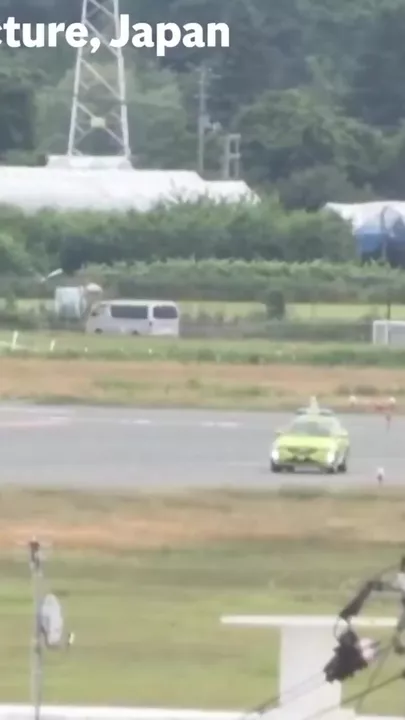 Японский губернатор предложил радикальный метод борьбы с медведями