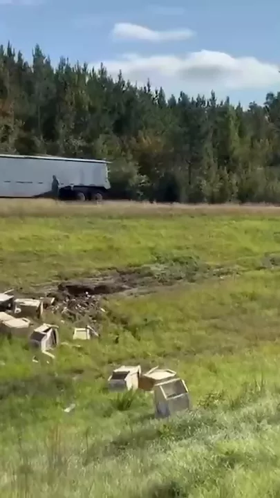 Из лаборатории в США сбежали зараженные обезьяны