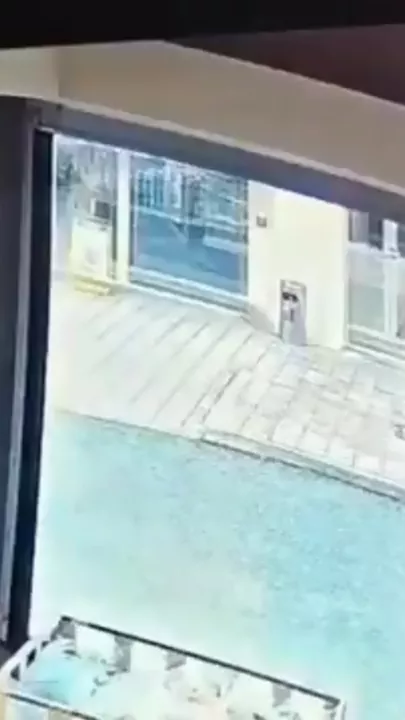 Во Франции кабан протаранил двери супермаркета