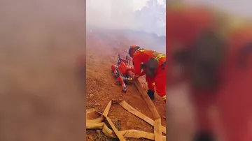 Робопсы становятся пожарными