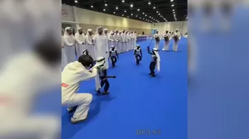 Роботы в ОАЭ исполнили национальный танец