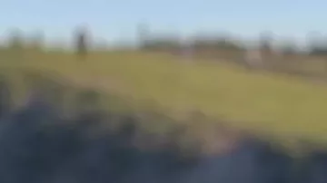 Двое туристов чуть не стали жертвами бизона