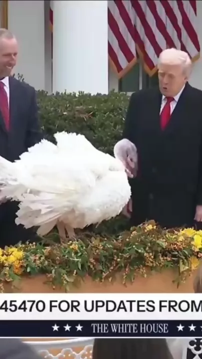 Трамп помиловал индейку на торжественной церемонии в Белом доме