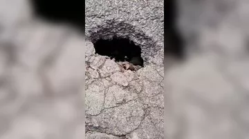 “Buraya adam da düşə bilər, maşın da...” - Rəsmi açıqlama