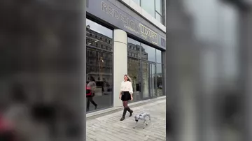 Азербайджанская блогерша "прогулялась" с робопсом по городу