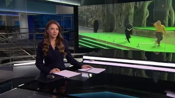 Медведь напал на дрессировщика в китайском зоопарке