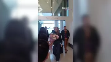 Синем Кобал в Баку