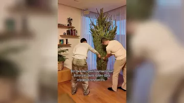 Вот так покупают елки в Австрии