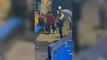 Белуха в Китае "наказала" курильщика