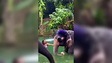 Азербайджанский модельер провела день среди слонов в Таиланде