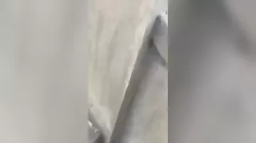 Стрельба на пляже в австралийском Сиднее - 3