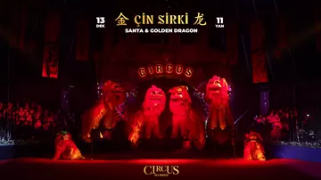 Китайский цирк в Баку бьет рекорды