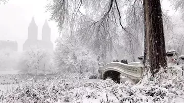 В США знаменитый парк завалило снегом