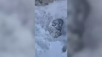 На Казахстан обрушилась сильная снежная буря