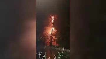 Молния испепелила дерево в Испании