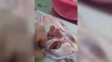 Bu bağçada uşaqlara keyfiyyətsiz ət verilir?