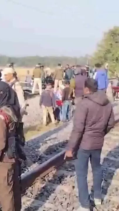 В Индии пассажирский поезд сбил стадо слонов