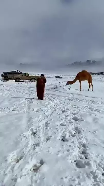 Мощный снегопад прошëл в центре Саудовской Аравии