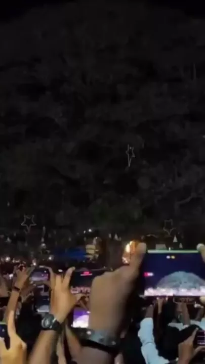 В этом городе дерево украсили тысячей гирлянд