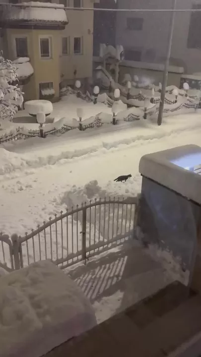 Босния и Герцеговина в снегу