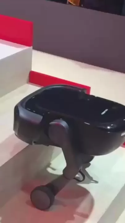 Прыгающий робот-пылесос Roborock с ногами попал на видео