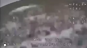 Олень едва не поймал российский дрон