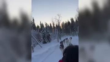 Блогер Лейла Мамедова поделилась впечатлениями о Лапландии - 1