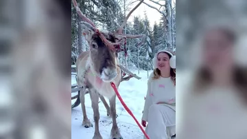 Блогер Лейла Мамедова поделилась впечатлениями о Лапландии - 2