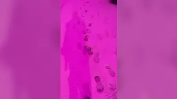 Британский Бирмингем удивил жителей неоново-розовым небом