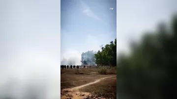 Слон-убийца бушует в Индии