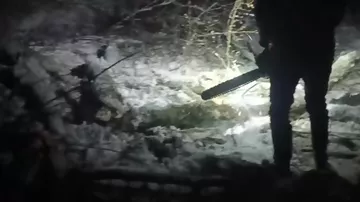 Ağac aşdı - yol bağlandı