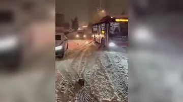 Hazırda Yeni Günəşli