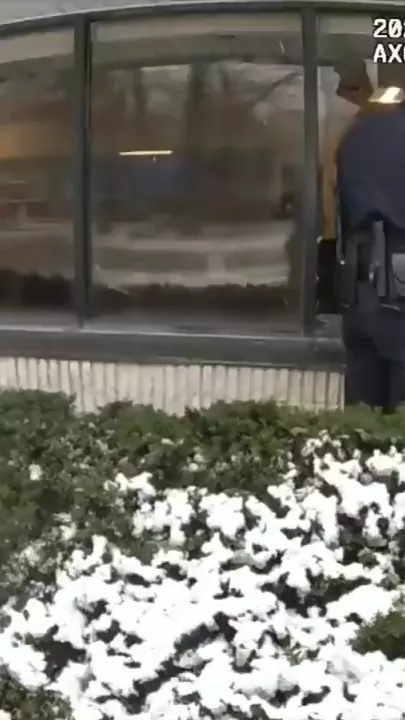 В Нью-Йорке олень попытался ограбить банк