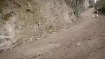 Новое поколение робособак