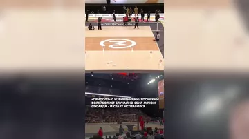 Самое необычное извинение