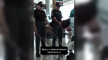 В Мексике начали снимать стресс у пассажиров в аэропорту с помощью дружелюбных собак