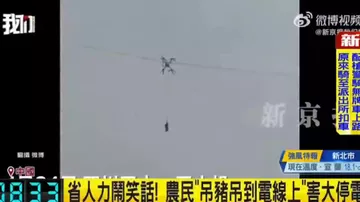 Масштабное отключение электроэнергии в Китае, вызванное свиньёй - 2