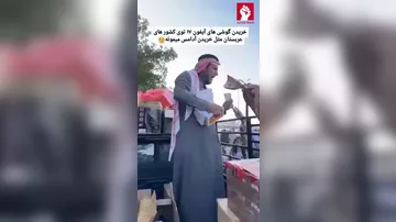 “iPhone 17”ləri su qiymətinə satdı -